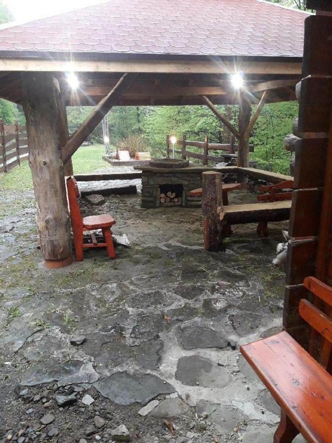 W Dolinie Zimnika Lipowa